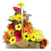Rakhi Delivery in India with Mixed Gerbera Basket 12 Flowers