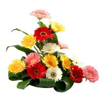 Send Mixed Gerbera Basket 15 Flowers with Rakhi to India