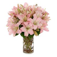 Online Rakhi and Pink Lily Flowers delivery in India