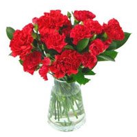 Buy Rakhi with Red Carnation Vase 10 Flowers to India