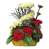 Red Yellow Carnation Basket 24 Flowers with Rakhi