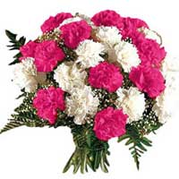 Order Rakhi and Pink White Carnation Flowers to India on Raksha Bandhan