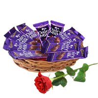 Online Rakhi gifts 12 Dairy Milk Chocolate Basket With Rakhi