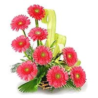 Send Pink Gerbera Basket 12 Flowers with Rakhi to India
