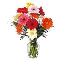 Deliver Blue Mixed Gerbera Vase 12 Flowers  with Rakhi to India