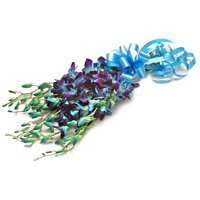 Send Blue Orchid Bunch 5 Flowers Stem with Rakhi Rakhi