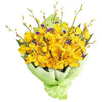 Deliver Rakhi with Yellow Orchid Bunch Flowers in India