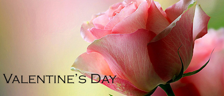 Send Mother's Day Gifts to Ludhiana