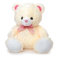 Send Teddy Bear Online India